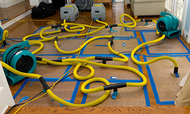 Professional Emergency Water Removal technician working in Husum, WA